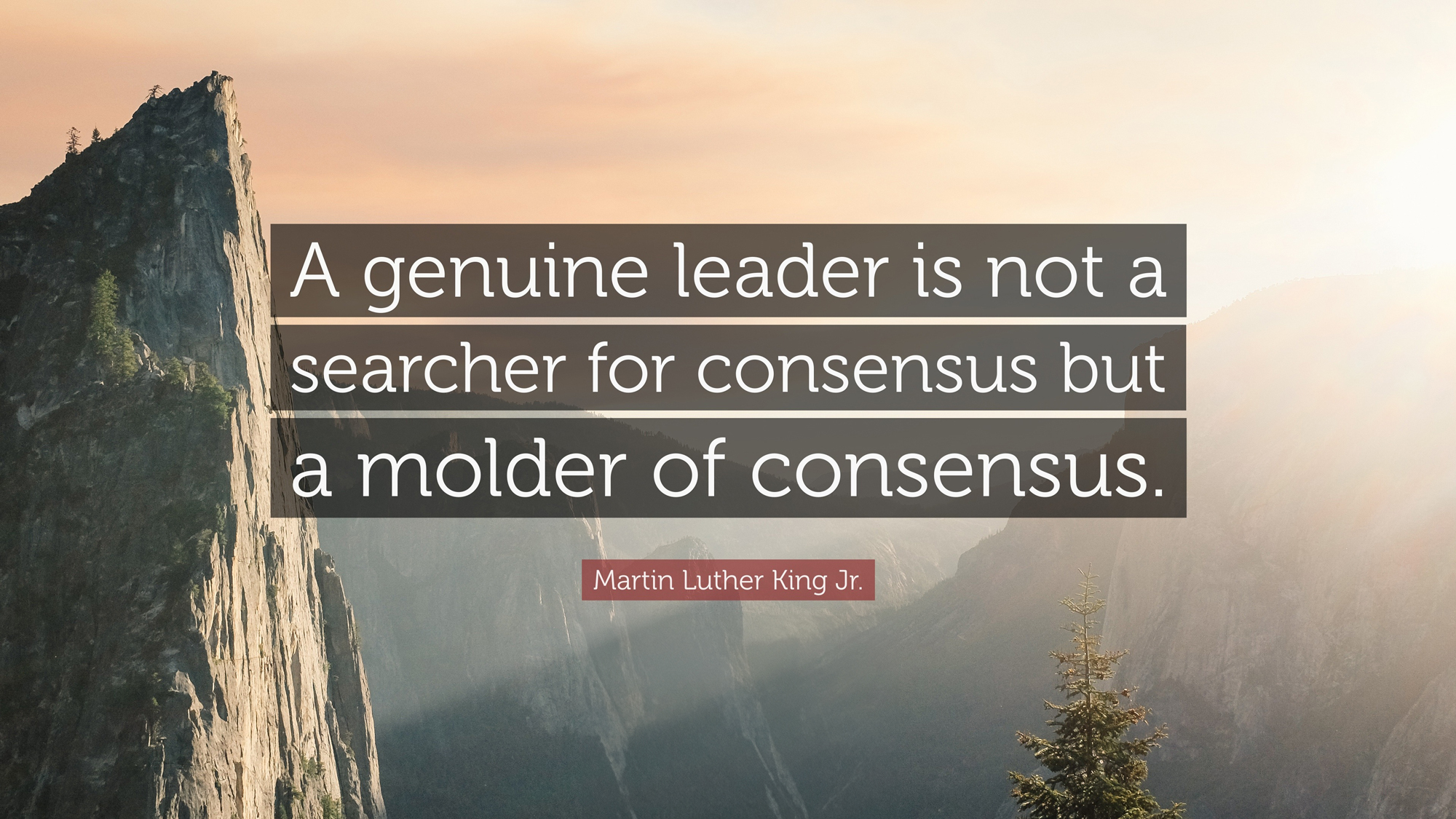 Featured image for “Thought Leadership”